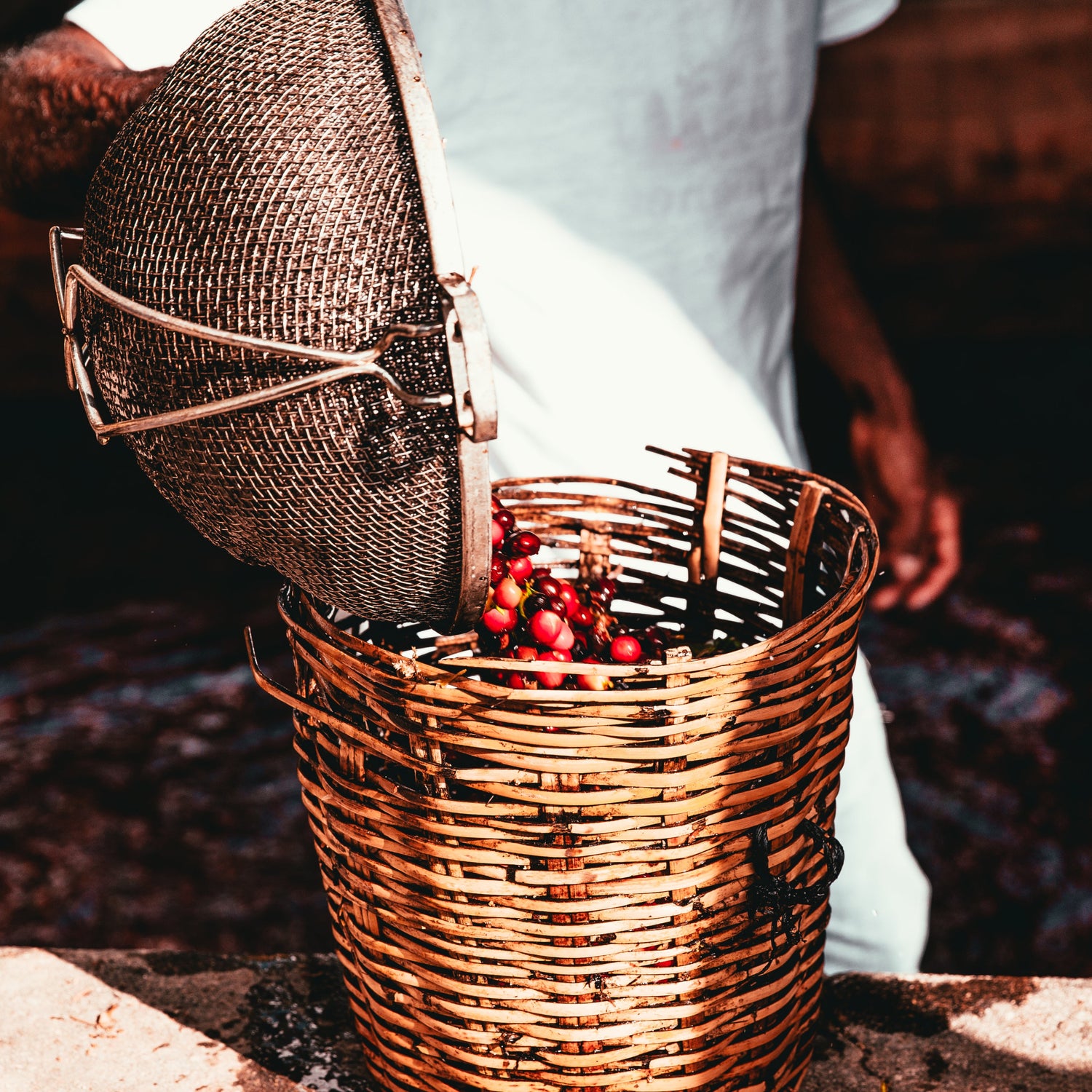 custom corporate gift - hand harvested coffee